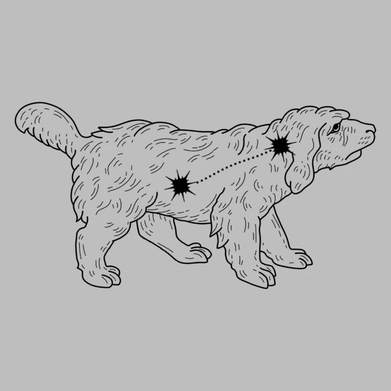Constellation
