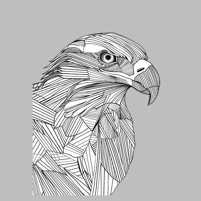 Lines art eagle #eagle