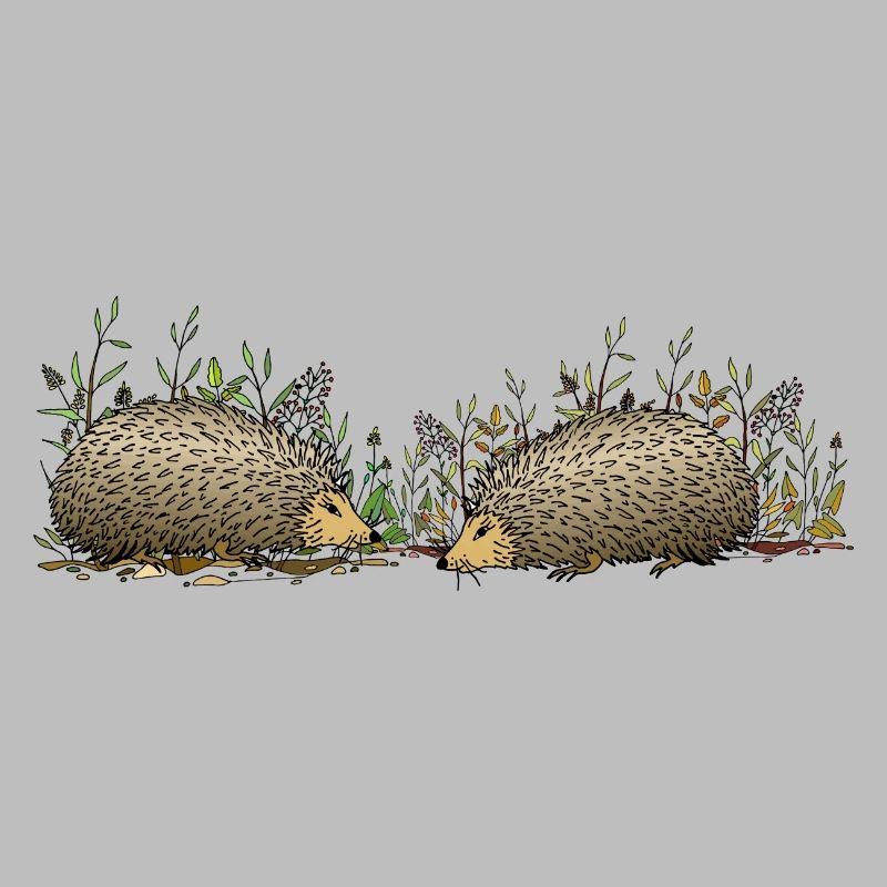 Hedgehogs