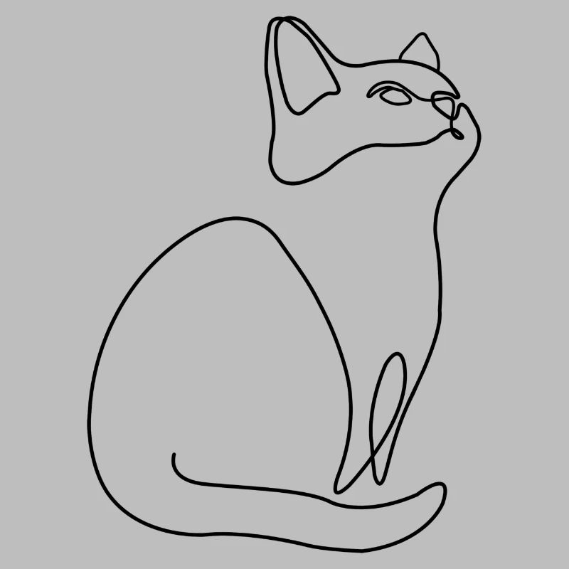 Chaton Chat Chat