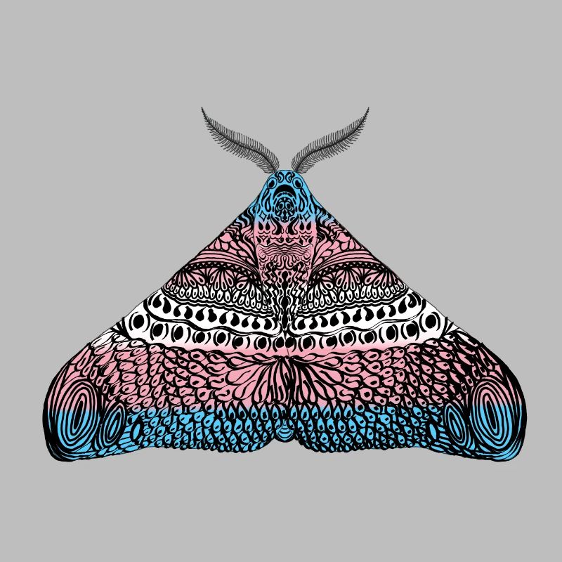 Transgender pride moth