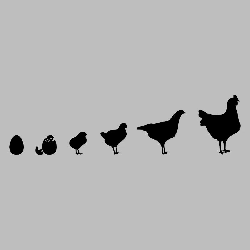 Instantané Famille de poussins, Poulet, Évolution,