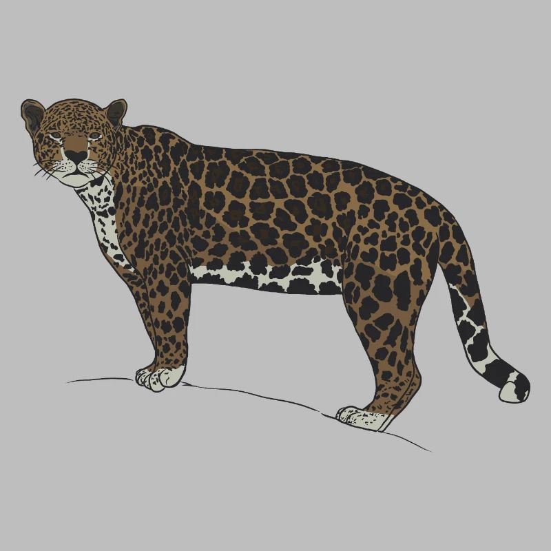 Jaguar-Blick