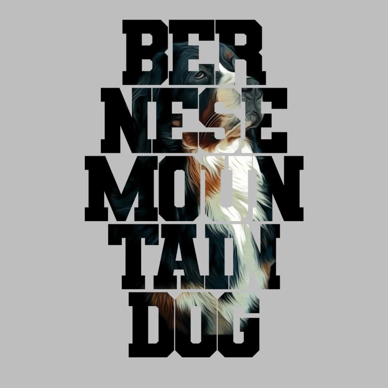 Bouvier bernois