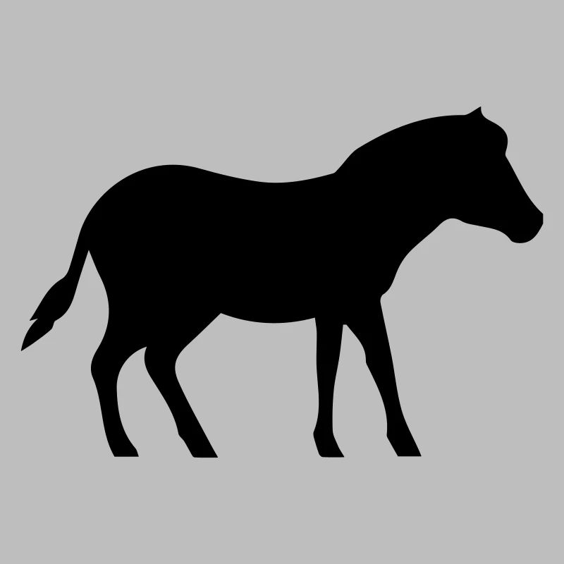 Cavallo Pony