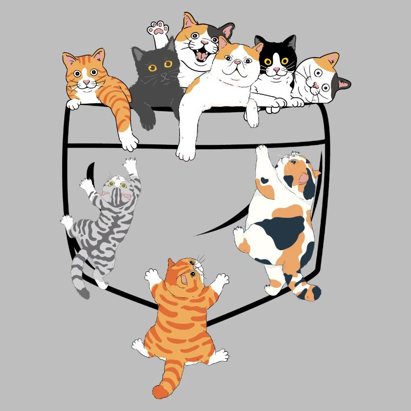 Süße Katzen klettern - originelle Geschenkidee