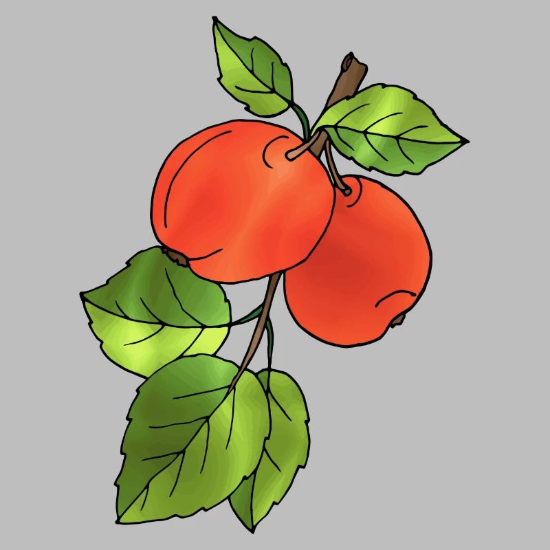Äpfel