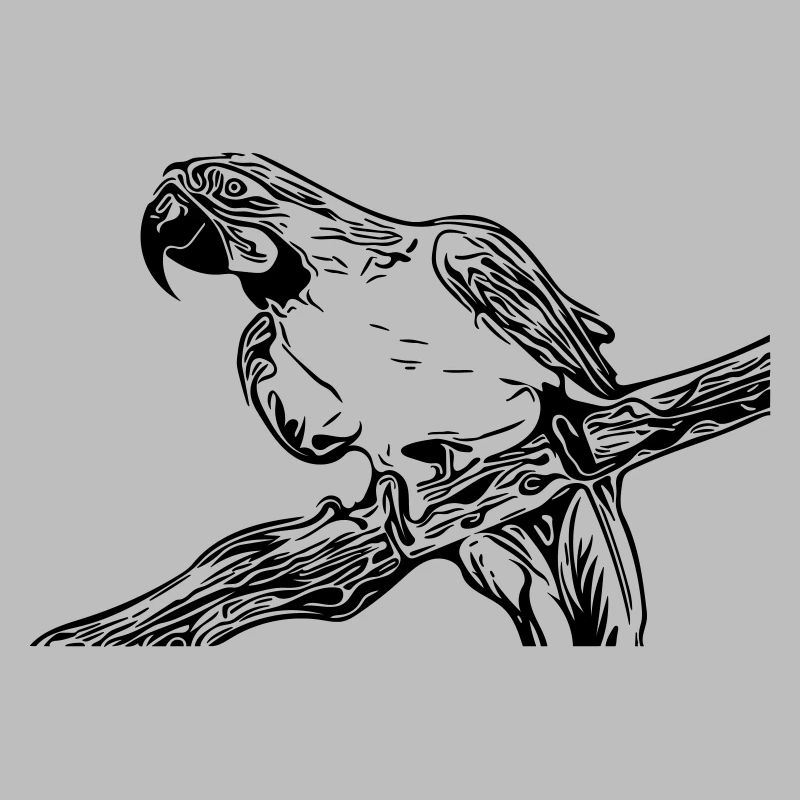 parrot