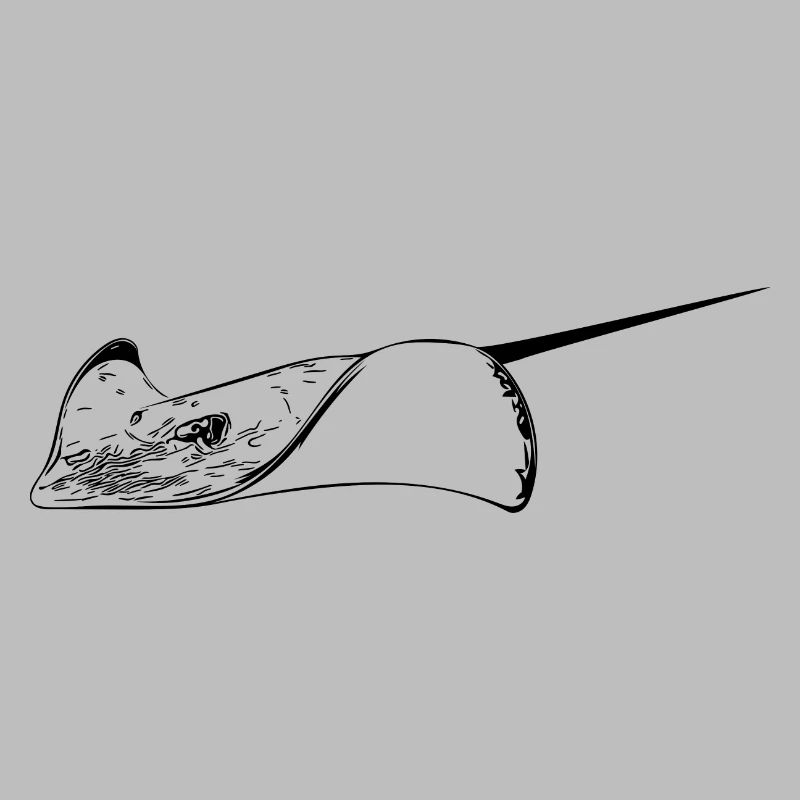 Stachelrochen im eleganten Flug