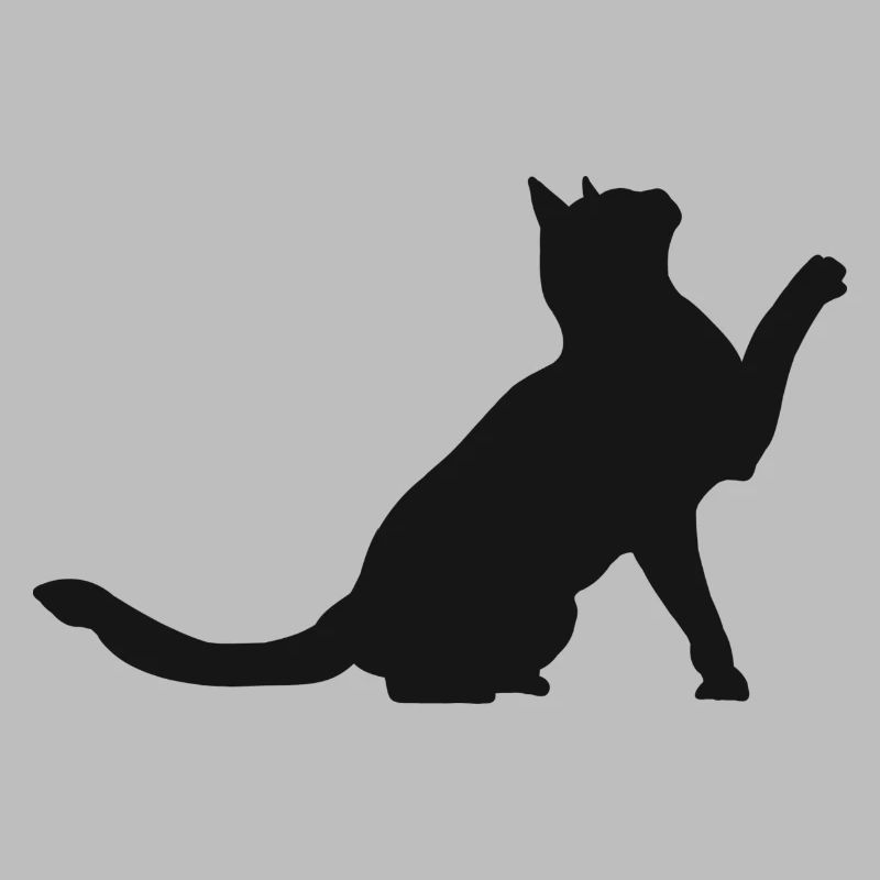 chat chat chat mignon animaux de compagnie bébé chat