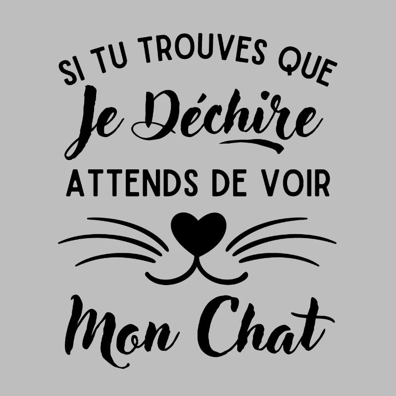 Mon Chat qui déchire 2