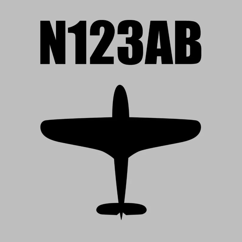 Custom Aviation - Flugzeug - Luffahrt - Pilot