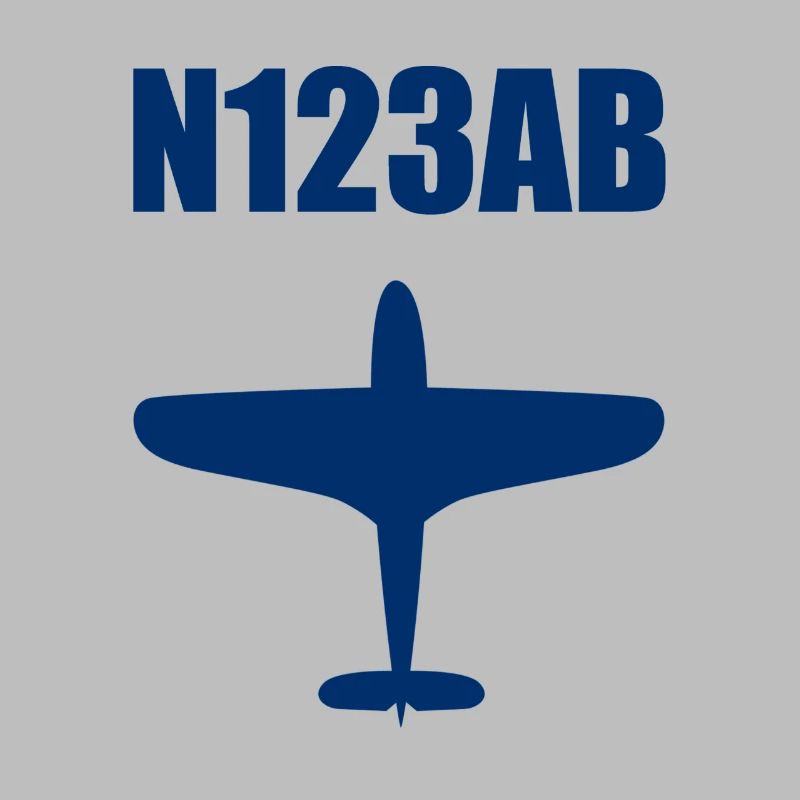 Custom Aviation - Airplane - Flying - Pilot