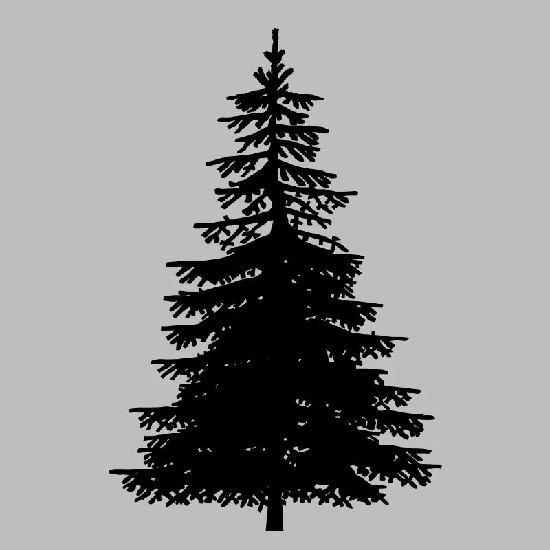 Fir Tree Nature Forest Ecology Nature Conservation Wilderness