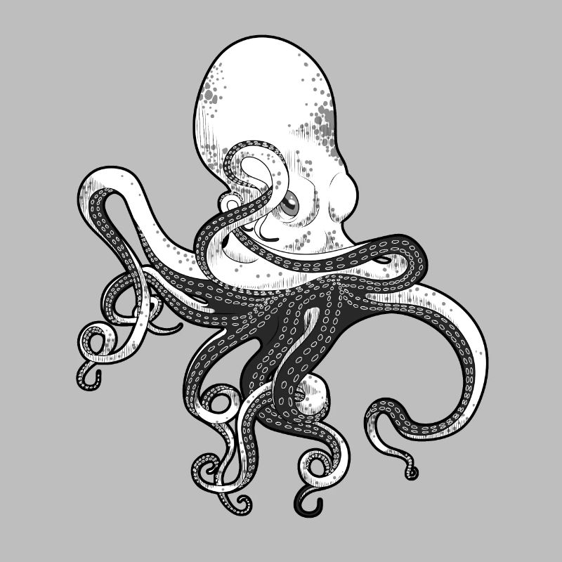 octopus, octopus, squid, seafood, calamari