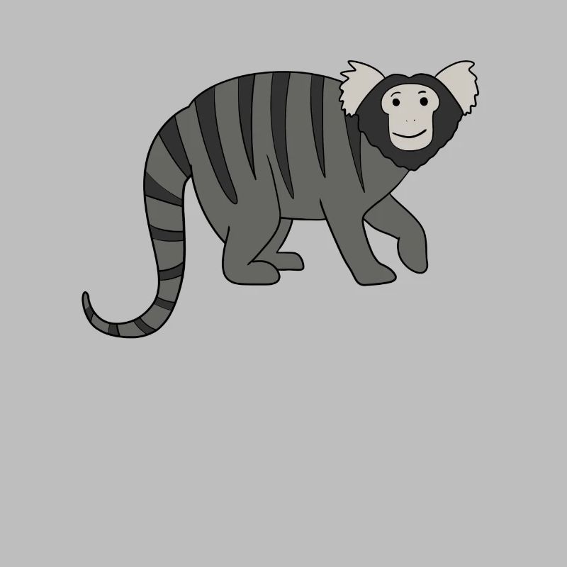 Marmosets Monkey