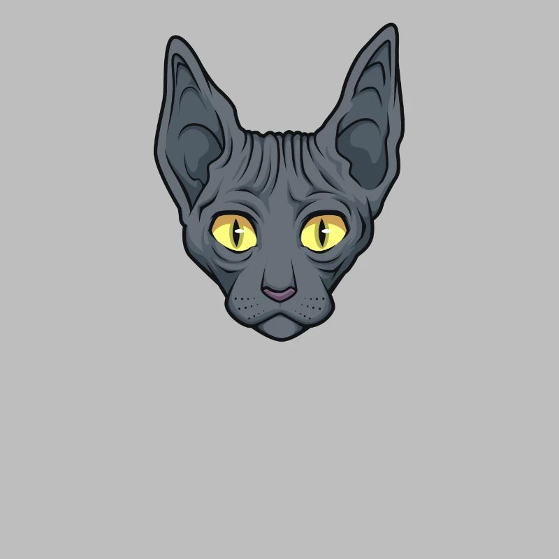 Sphynx Katze