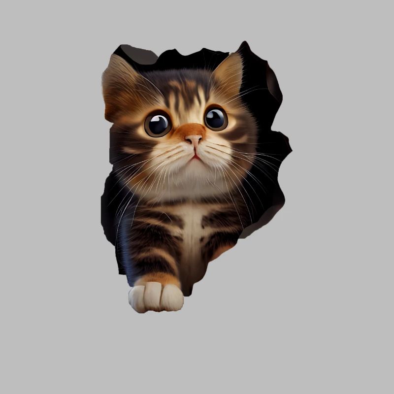 Chat mignon Chaton Craqué Chat Amants Chats Chats