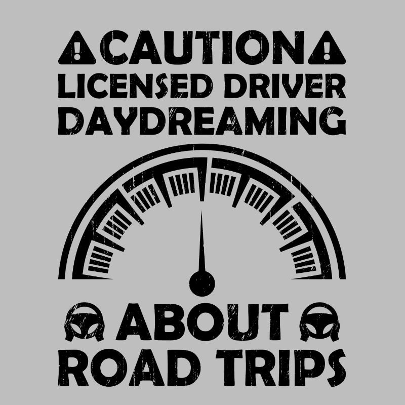 Driving License Passed New Driver Permit Driving S