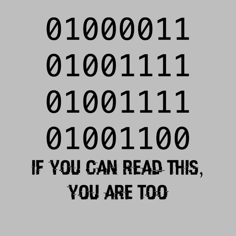 Computer Binary Code Developers Gift
