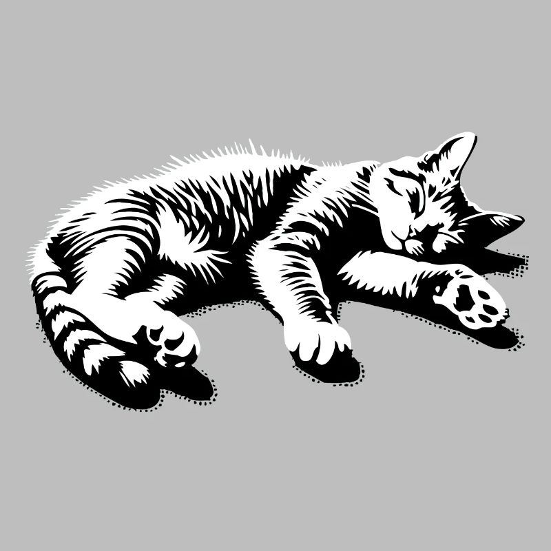 Lazy Cat Sleeping Cat | Hangover