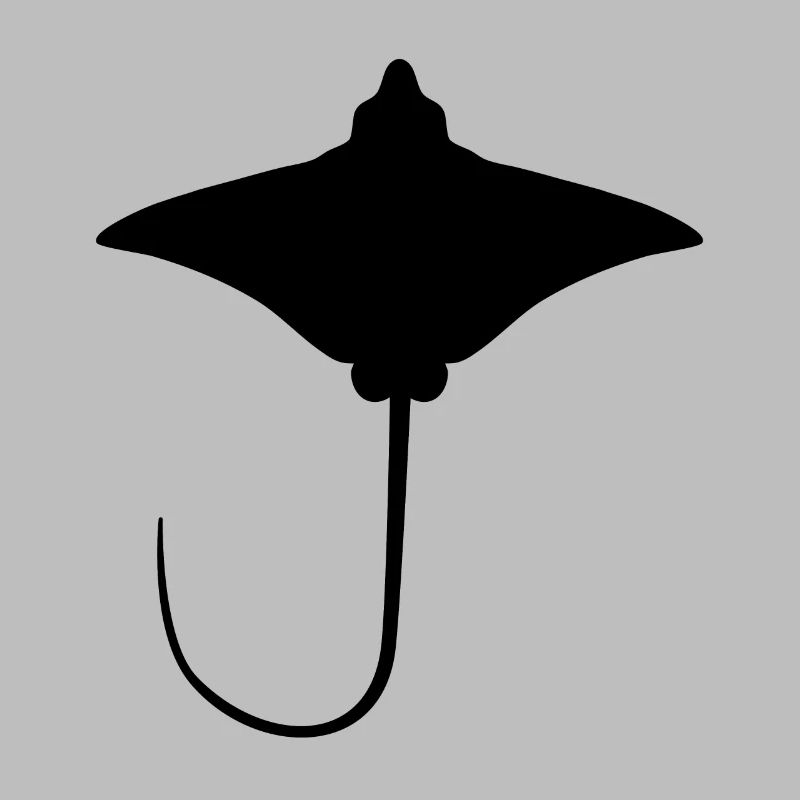 Rochen – Eleganter Schwimmer der Meere