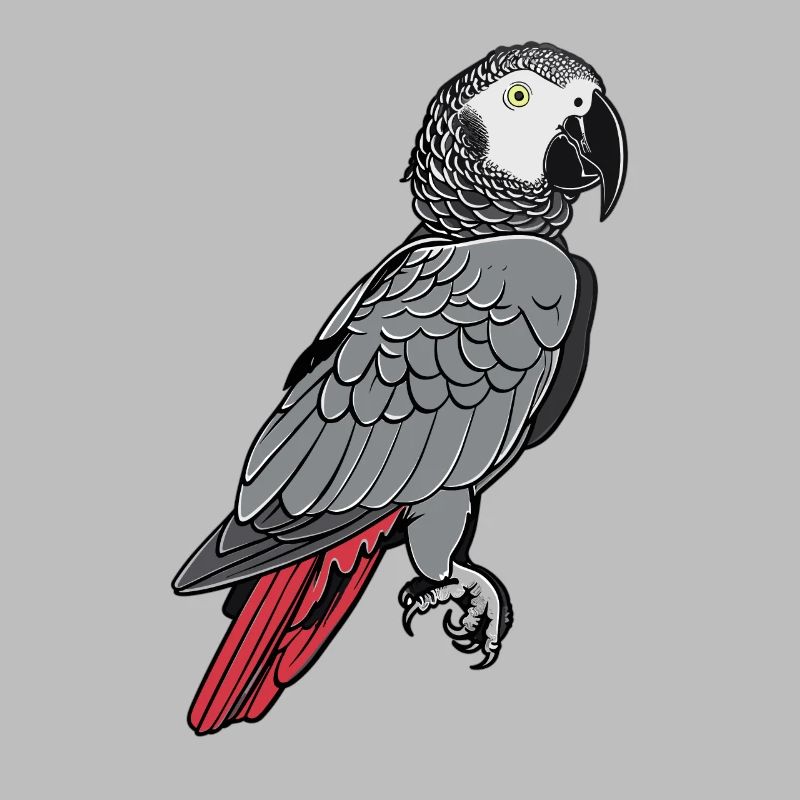Perroquets gris d’Afrique