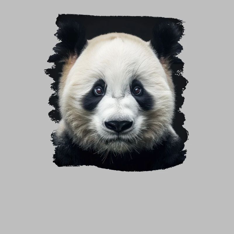 Panda géant Pandas Große Pandas Großer Panda