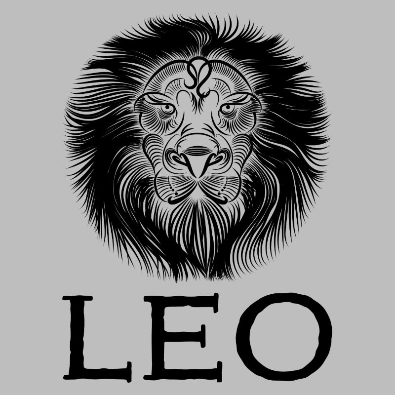 leo1s Zeichenfläche 1