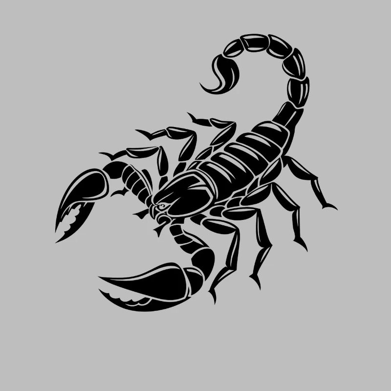 Skorpion - Giftstachel - Artenschutz - Lebensraum