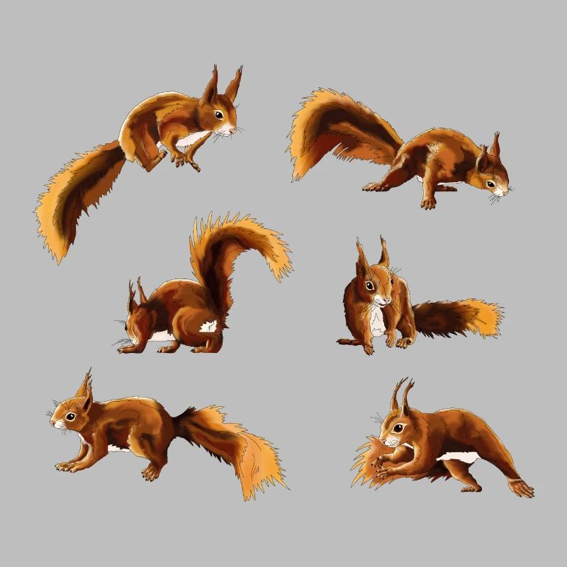 Squirrel