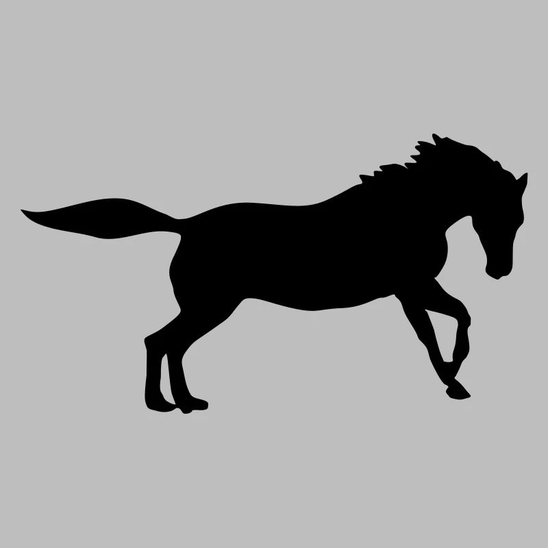 pferd