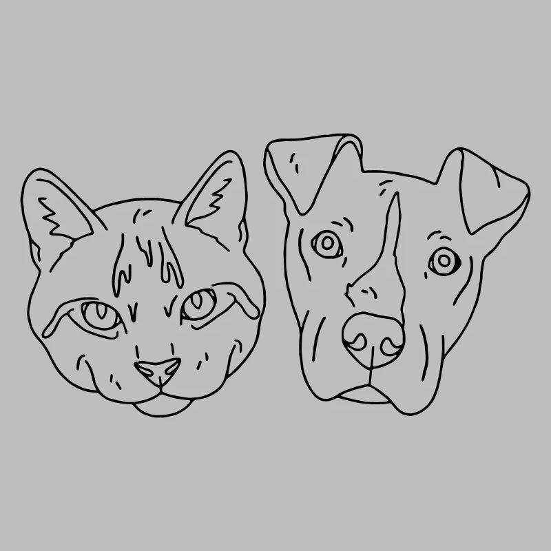 chat et chien