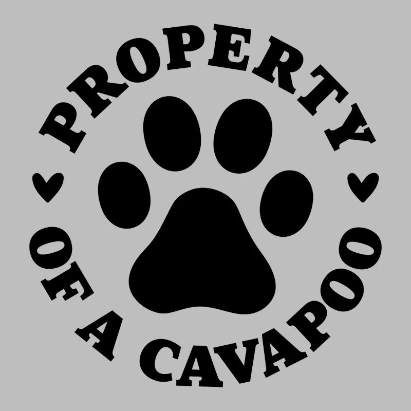 Property of a Cavapoo