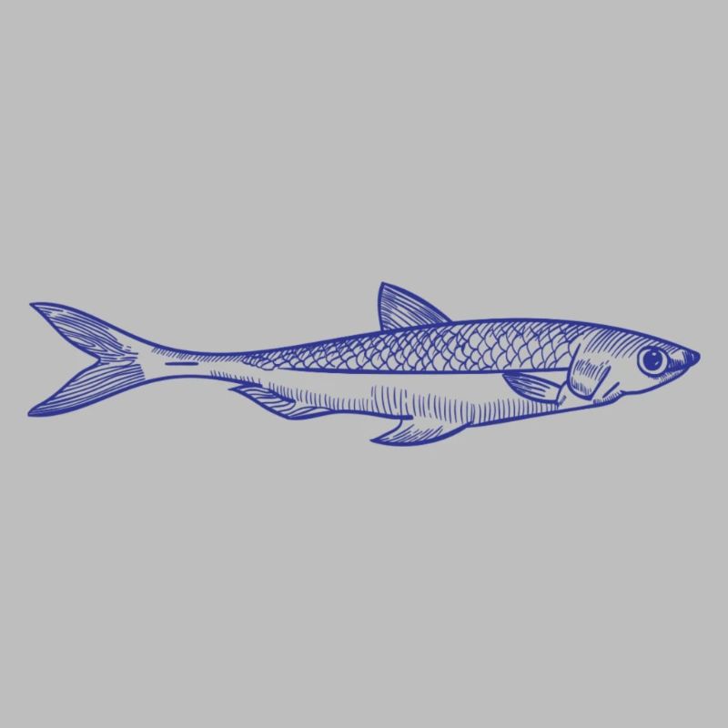 Fisch
