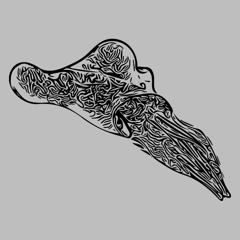 Vintage Cuttlefish