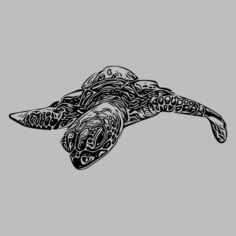 Little curious turtle