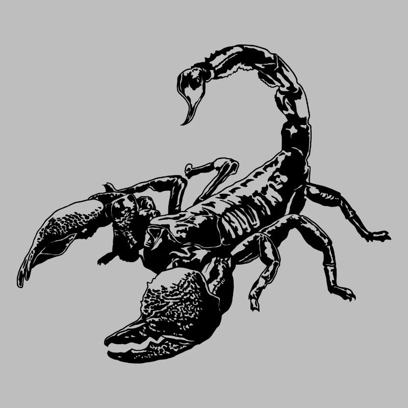 Cool Scorpion Insect Sketch Graphic Scorpion Lover