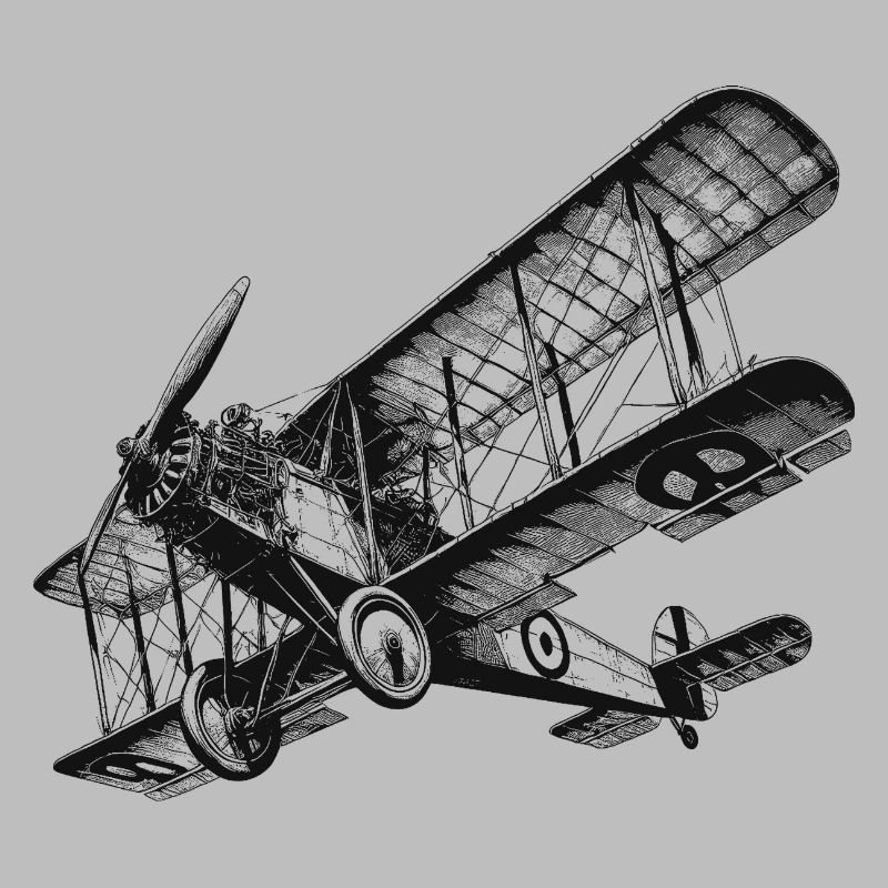Biplane Airplane