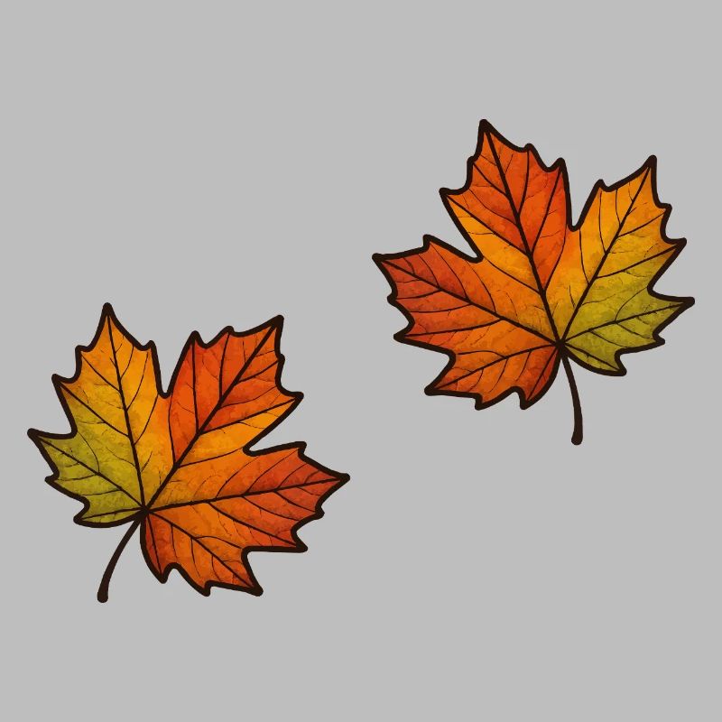 Feuille Automne Feuille d’érable 2