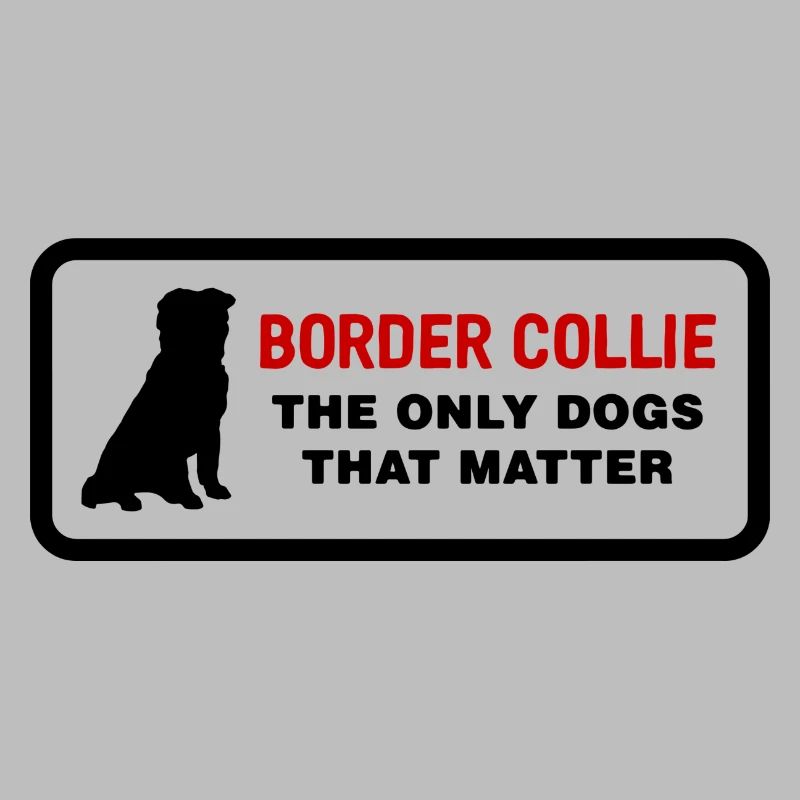 Border collie