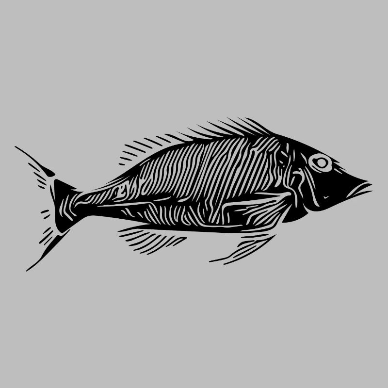 Vintage Fish HerringBone Bony Fish Skeleton