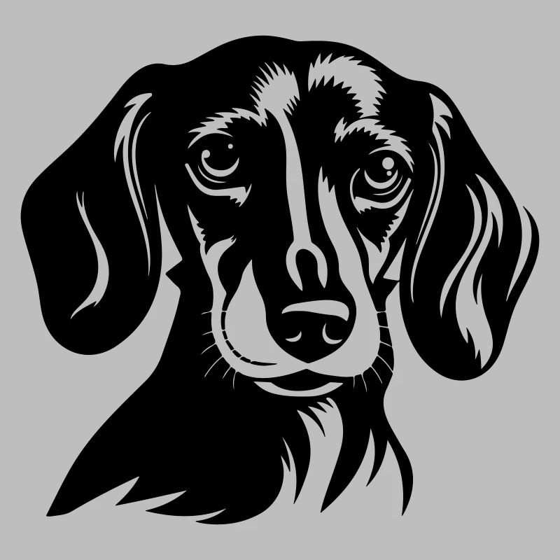 Teckel Tête De Chien Teckel