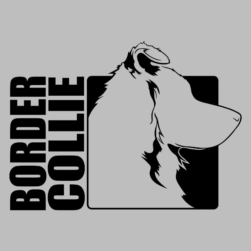 Border Collie Profil Hunde Hund Wilsigns
