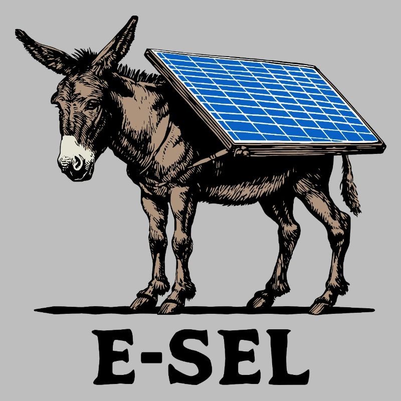Solar E-sel, Esel, Lasttier, Packesel