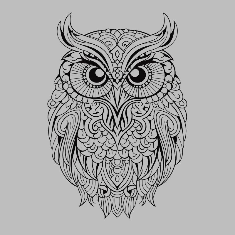 Mythical Magical Boho Owl with Patterns