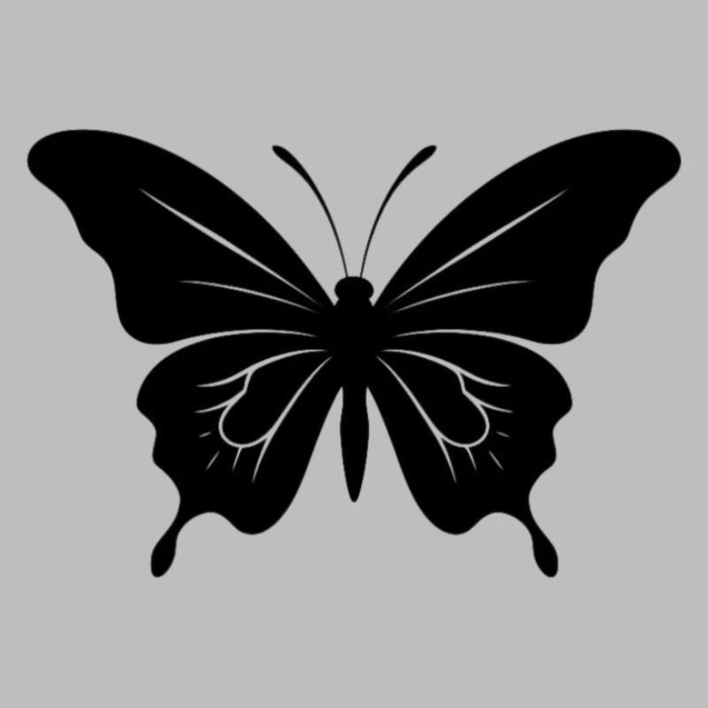 Papillon. papillon