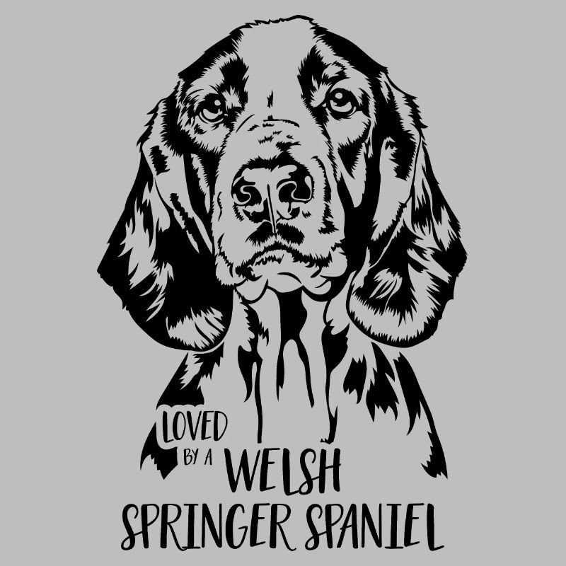 Loved by a Welsh Springer Spaniel Dog Wilsigns