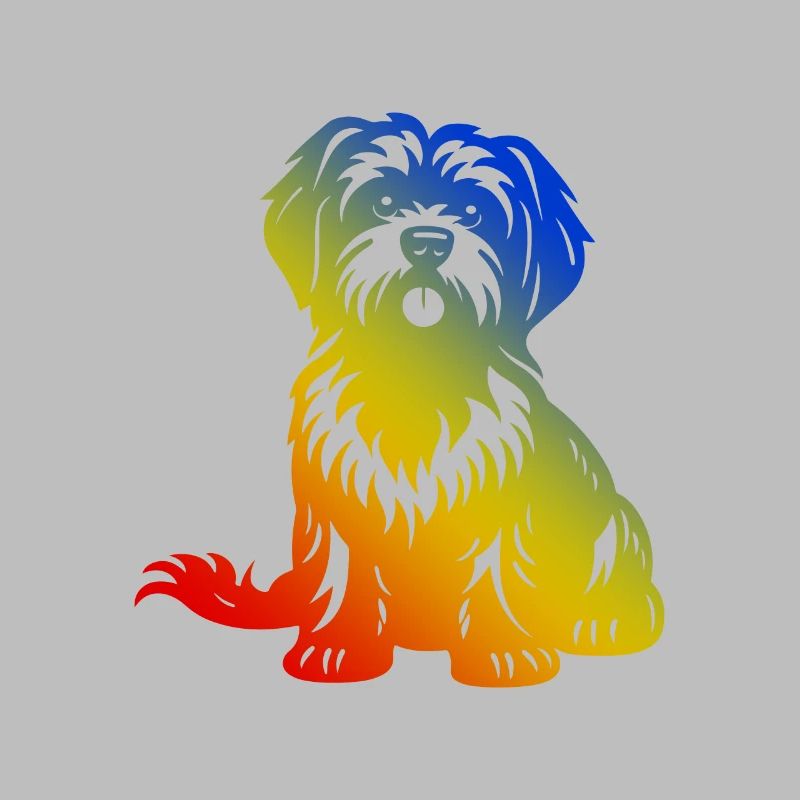 Havanese Hund