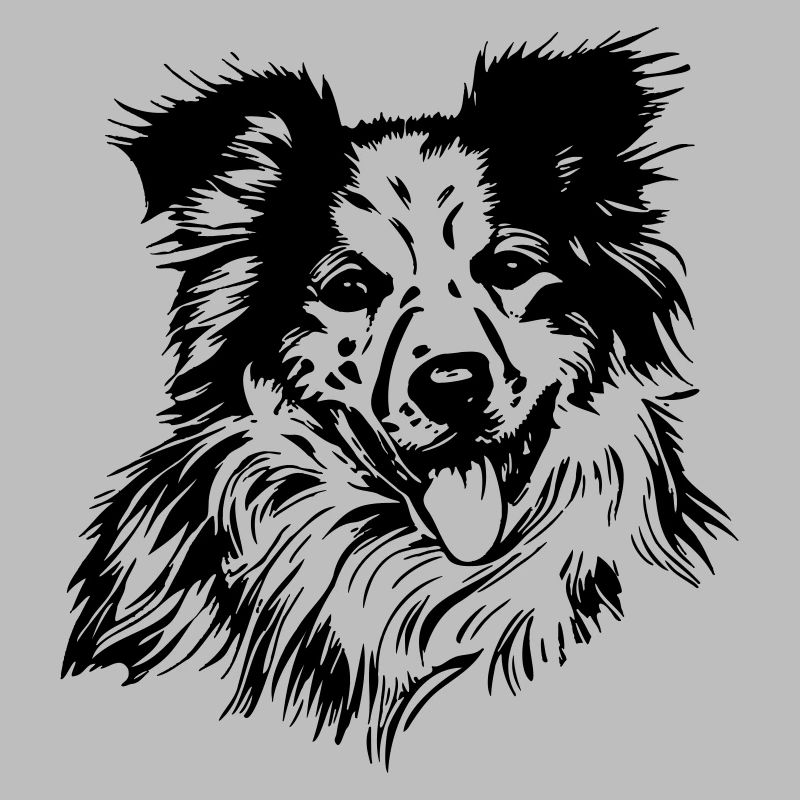 Aussie Australian Shepherd